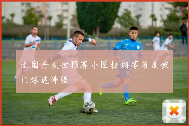 法国丹麦世预赛小图拉姆零角度破门球迷沸腾