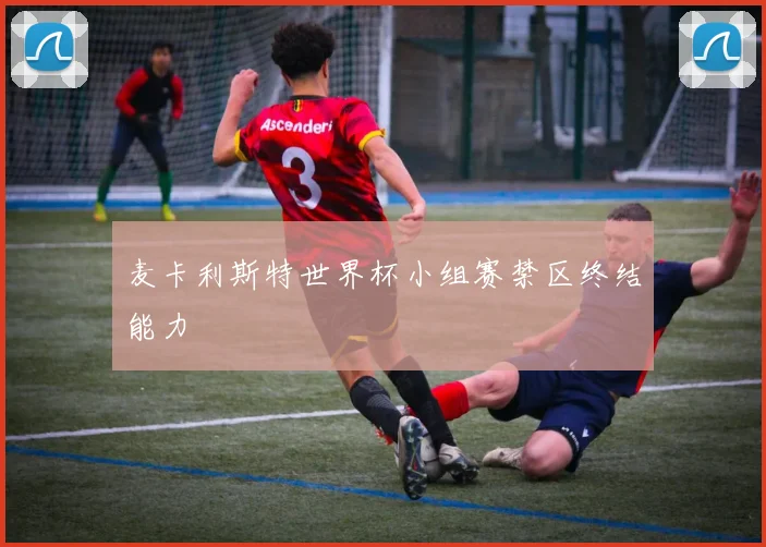 麦卡利斯特世界杯小组赛禁区终结能力